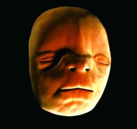 原来,胎儿的脸是拼出来的-青年参考