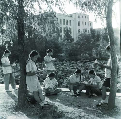     上世纪60年代的安徽师大学生在校园内读书.